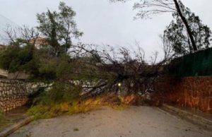 Româncă moartă de hipotermie, după ce furtuna Gloria a lovit estul Spaniei