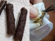 Cârnaţi cu ace de pescuit aruncaţi pe stradă, în Baia Mare, pentru a ucide câini şi pisici