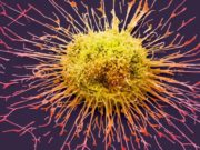 Descoperire uriaşă în sistemul imunitar, tratament pentru cancer