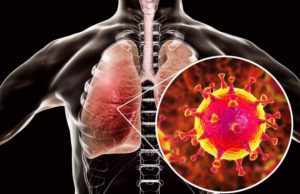 Cum arată o tulpină de coronavirus la microscopul cu electroni