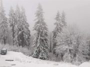 Alertă de vreme severă în 27 judeţe, până sâmbătă dimineaţă. ANM anunţă ninsori şi viscol la munte