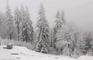 Alertă de vreme severă în 27 judeţe, până sâmbătă dimineaţă. ANM anunţă ninsori şi viscol la munte