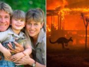 Familia lui Steve Irwin a salvat 90.000 de animale din incendiile din Australia
