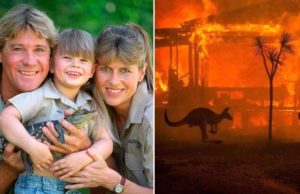 Familia lui Steve Irwin a salvat 90.000 de animale din incendiile din Australia