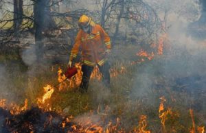 Pompier australian acuzat că a provocat 17 incendii, arestat