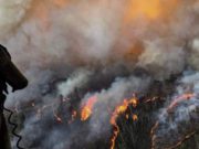 Două incendii uriaşe din Australia s-au unit pe o suprafaţă de 500.000 hectare