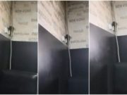 VIDEO | Şobolan filmat într-o cofetărie din Târgu Jiu cum urmăreşte clienţii, de pe perete