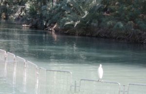 MINUNE ÎN ISRAEL, la fiecare început de an. De BOBOTEAZĂ, râul Iordan îşi schimbă cursul