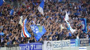 peluza-nord-mihai-rotaru-1-800x445