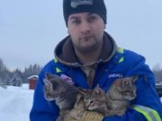 Se îndrepta spre serviciu, când bărbatul a văzut trei pisoi prinși în gheață. Nu a stat pe gânduri și a decis să-i salveze cu orice preț