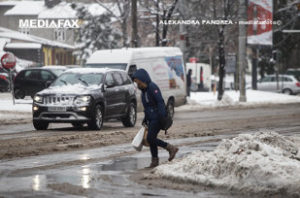 7505075-mediafax-foto-alexandra-pandrea
