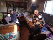 Mulți o privesc pe Vulpița la televizor, în timp ce doi bătrâni bolnavi cresc 2 copii abandonați de părinți. Cei mici vor, când vor ajunge mari, să-și răsplătească străbunicii