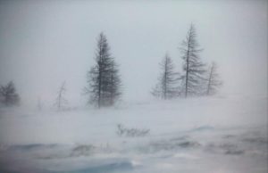 Alertă de vreme severă imediată, emisă de ANM, pentru 14 de judeţe