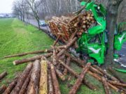 Şofer de TIR păzit de-un înger în cabina distrusă complet într-un copac, în Germania