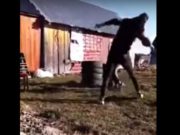 VIDEO | Adolescentă însărcinată bătută cu biciul în curtea casei, în Suceava. Mama fetei filmează tot