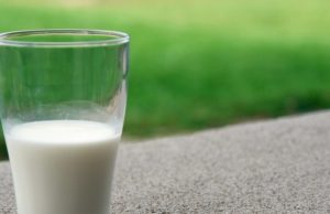 De ce e bine să bem lapte de capră. Cura benefică pentru sănătatea oaselor