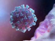Ce se întâmplă în corpul oamenilor, după infectarea cu coronavirus. Simptomele COVID-19, de la o zi la alta
