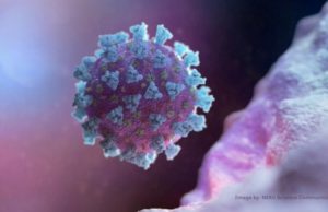 Ce se întâmplă în corpul oamenilor, după infectarea cu coronavirus. Simptomele COVID-19, de la o zi la alta