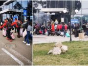 Românii se întorc în ţară, iar alţii pleacă. Peste 100 de români au plecat la muncă, în Germania