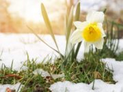 Vremea se răcește brusc în ultimele zile din martie. Minime de -9 grade, lapoviţă și ninsori