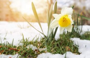 Vremea se răcește brusc în ultimele zile din martie. Minime de -9 grade, lapoviţă și ninsori