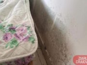 FOTO | Noi imagini de groază din centrele de carantina din Dolj. Oameni adusi noaptea trecuta din Italia spun ca mai bine dorm în mașini sau în corturi afara. MARTURII. ÎNREGISTRARI AUDIO