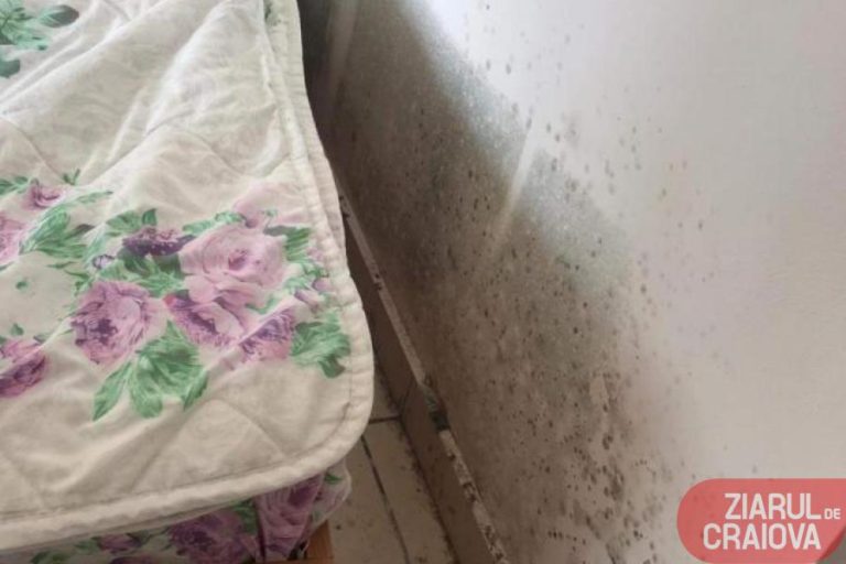 FOTO | Noi imagini de groază din centrele de carantina din Dolj. Oameni adusi noaptea trecuta din Italia spun ca mai bine dorm în mașini sau în corturi afara. MARTURII. ÎNREGISTRARI AUDIO