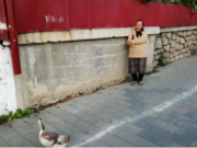 O bătrână din Botoșani a ieșit cu o rață la plimbare prin oraș. Cum a scăpat de amendă