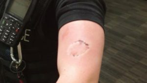 NTFhMmE4YTdkZjZlNTE5YmQzYjlhOTJiYTBkZGU=.thumb