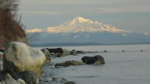 NzgwJmg9NDQwJmhhc2g9MGFmN2VhNTgwMDkwYTNhMjMyNGM0ZjllNDEzNWFiMGM=.thumb