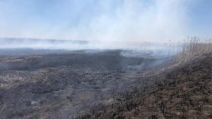 ODAmaD00NDAmaGFzaD01OWE0YWNkMjhlYTdmZjg2ZjBlYzIyNzY5ZWY5NTMyMg==.thumb