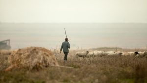 PWQwMmJiMTk0ODBiNWYyZDEwMGMzZDVjYjI4NmM1NmUz.thumb