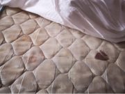 Sancțiuni ANPC pentru nereguli la trei centre de carantină din Craiova