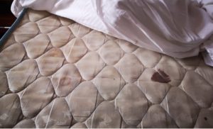 Screenshot_20200430-155809_Samsung Internet