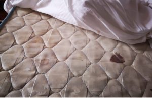 Sancțiuni ANPC pentru nereguli la trei centre de carantină din Craiova