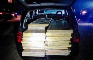 Român prins la furat de materiale de construcţii în Italia