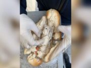 Seringi și droguri ascunse într-o pâine, la un centru de carantină din Ilfov: „Sunt doar niște alimente, d-ale gurii”