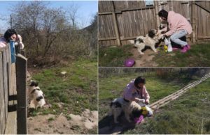 Bobiţă, un câine din Vaslui blocat în curte de epidemia de coronavirus, a supravieţuit o lună fără apă și mâncare