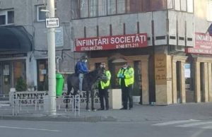 Gest emoționant al tânărului din Iași pentru calul care l-a făcut celebru în toată România