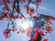 Vremea 20 aprilie – 3 mai 2020. Prognoza meteo pe regiuni, în următoarele două sptămâni