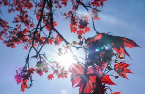 Vremea 20 aprilie – 3 mai 2020. Prognoza meteo pe regiuni, în următoarele două sptămâni