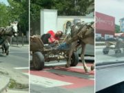 Calul, mai responsabil ca stăpânul. Omul a adormit în căruță, iar calul l-a dus singur acasă