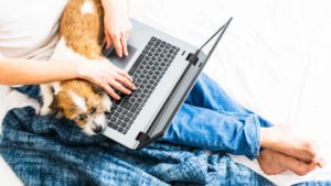 ODdmM2ZhNWIyZWQxN2Y1ZDUwNmI4MWIxNWE3NjM4NDE=.thumb