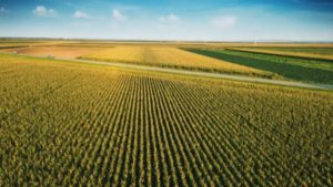 Pret-terenuri-agricole-Romania