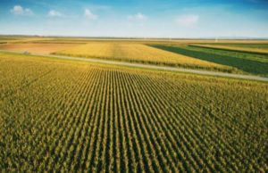 Peste o treime din terenurile agricole ale României, afectate de secetă