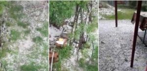 Screenshot_20200525-202001_Facebook