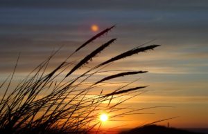 În sfârșit! Vremea rea dispare și face loc temperaturilor de până la 30 de grade