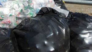 au-gasit-doi-saci-de-gunoi-in-mijlocul-drumului-si-au-decis-sa-ii-ia-in-masina-cand-s-au-uitat-in-663148