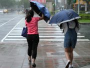 Alertă de la ANM. Cod galben de vânt puternic în mai judeţe din ţară