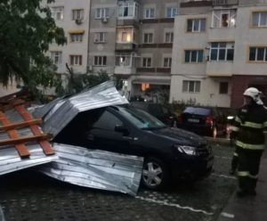 copaci-masini-pompieri-1